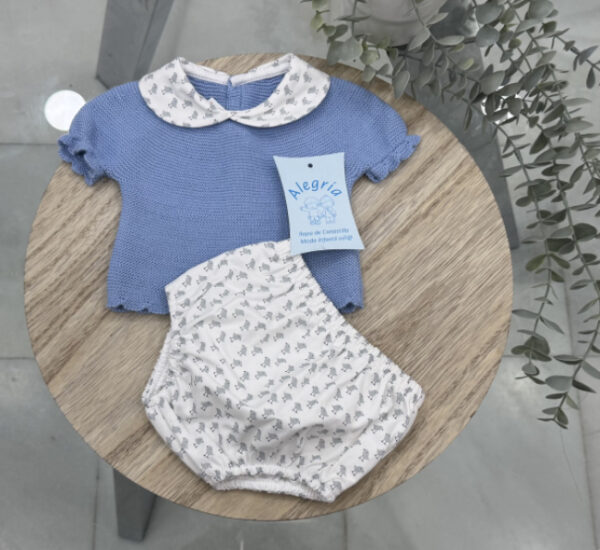 Conjunto hilo pajarito azul