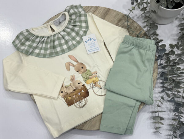Conjunto legin modelo conejo