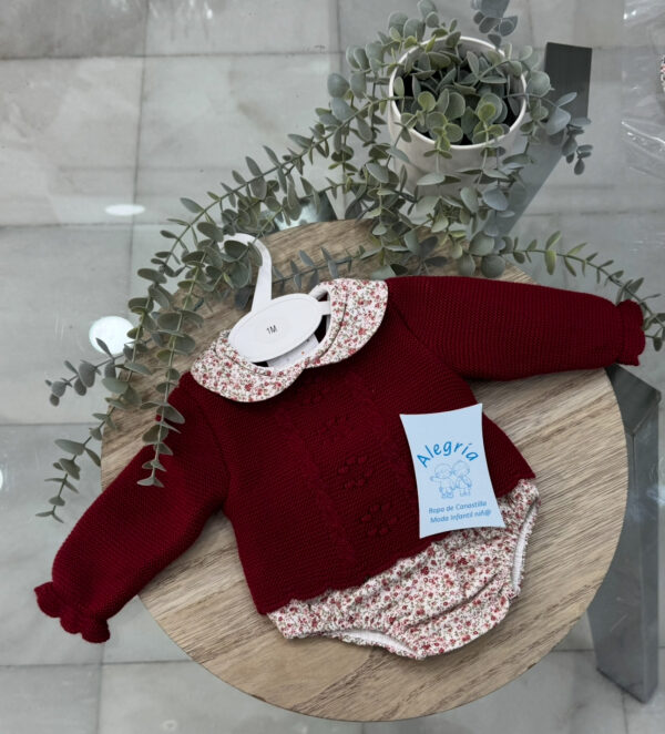 Conjunto braga lanita flor burdeos